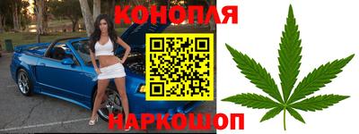 стафф Славянск-на-Кубани